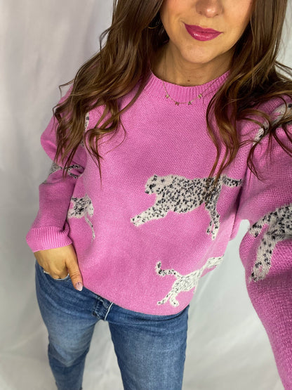 Wild Hearts Pink Sweater