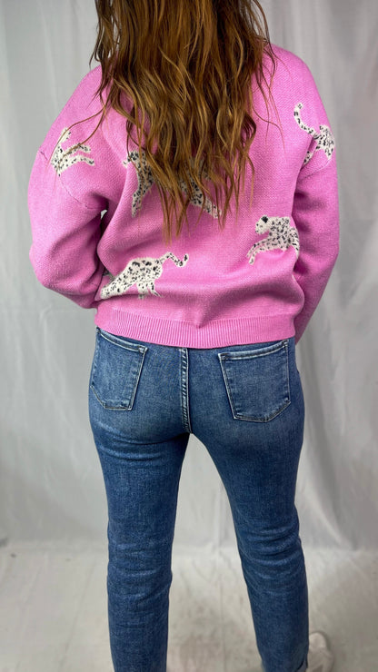 Wild Hearts Pink Sweater